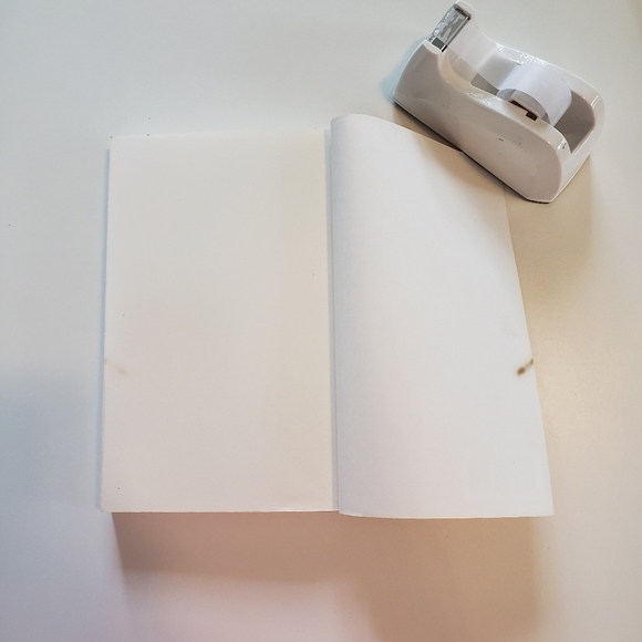 On the Integration of Nature Post 9-11 Biopolitical Notes Richard Grossinger - Picture 13 of 16